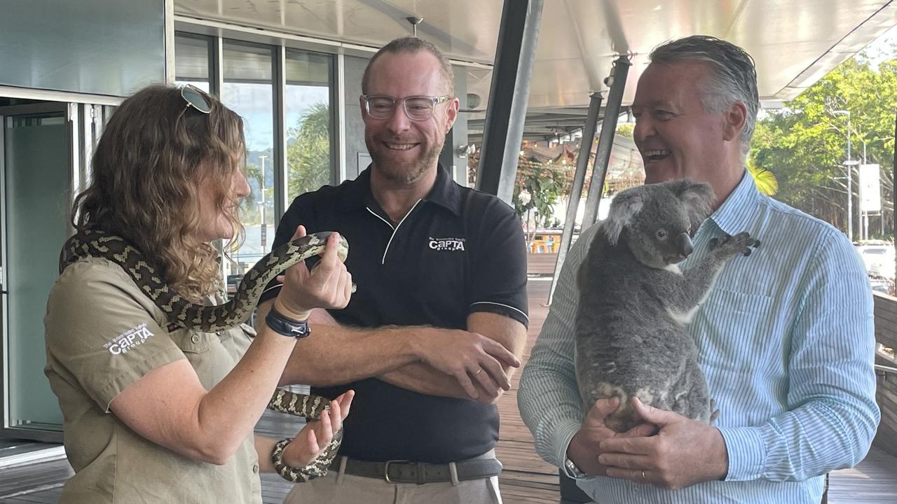 Capta Group owner Ben Woodward with Minister for tourism Michael Healy get up close with Pavvy the koala and Grugg the carpet python with one of the centre’s wildlife handlers. Photo: Dylan Nicholson