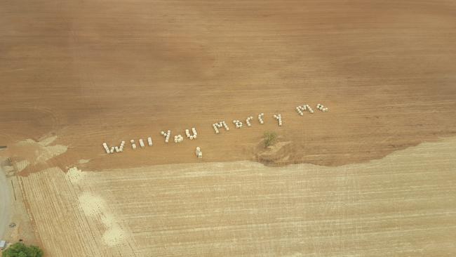 The epic proposal. Ben Kemp proposed to his partner Jadine Mold by setting up hay bails in his paddock at Roseworthy spelling out "Will you marry me".