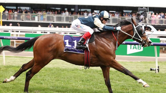 Banju tackles current Melbourne Cup favourite Soulcombe who is resuming at Randwick on Saturday.