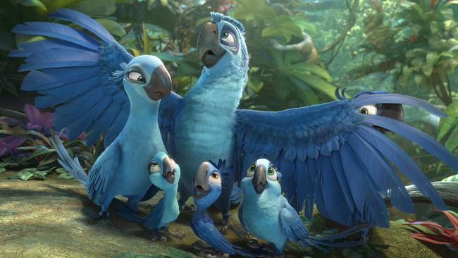 Rio 2: Fun sequel throws up real jungle of plot lines | The Advertiser