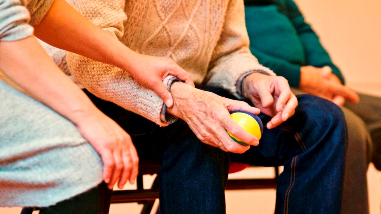 ‘Unsung heroes’: Labor announces National Carers Strategy