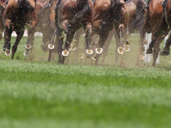 Horse racing gen pic istock