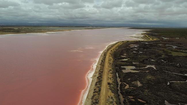 Drone footage of dead and dying mangroves and saltmarsh at St Kilda, where super salty water can be seen in evaporation ponds and some brine is crystallising to white salt. Picture: Alex Mausolf