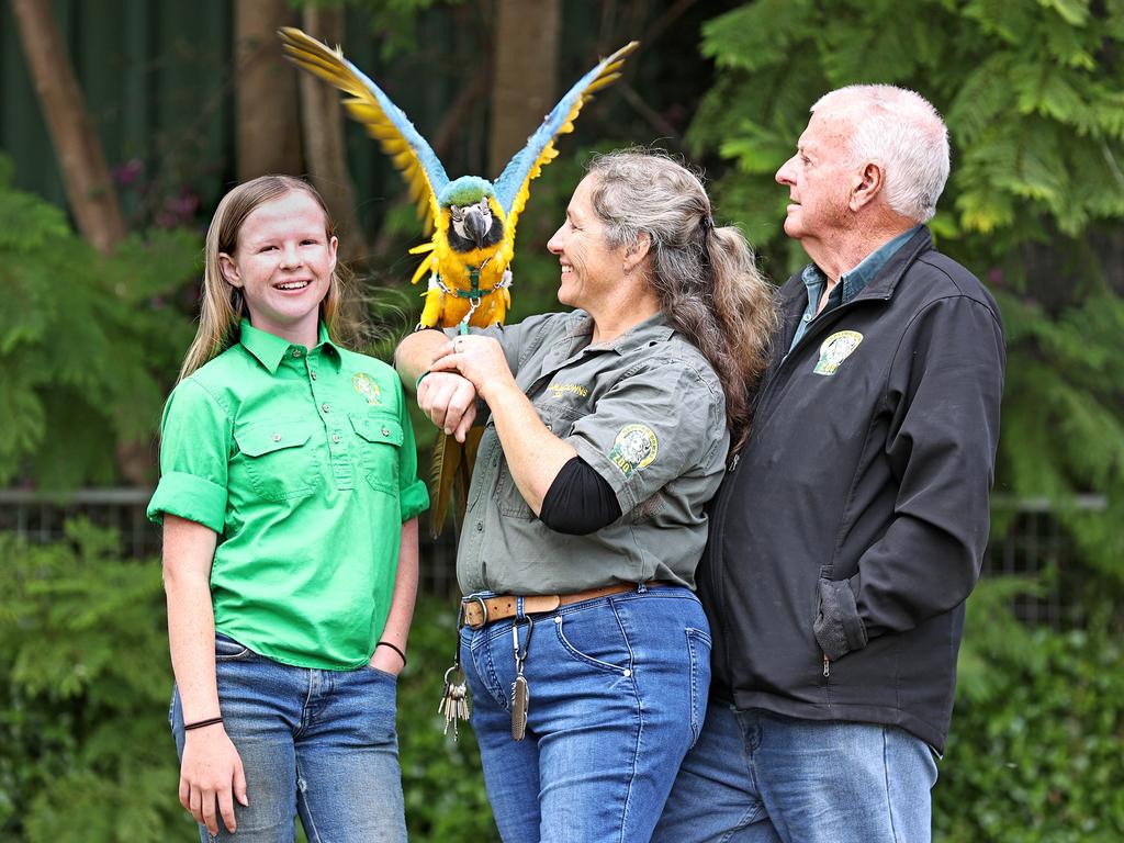 Madeline, Steph and Steve Robinson with 12-month-old Ninja the Macaw at Darling Downs Zoo. Pic Tara Croser.