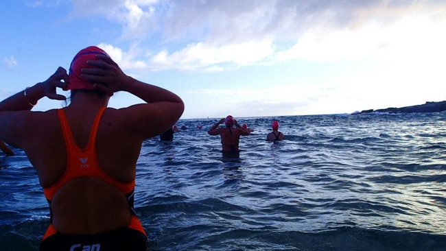 Manly Cole Classic Open Water Swim.