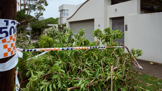 Fallen tree in Bellevue Hill after severe weather hit Sydney. Picture: NewsWire / Flavio Brancaleone