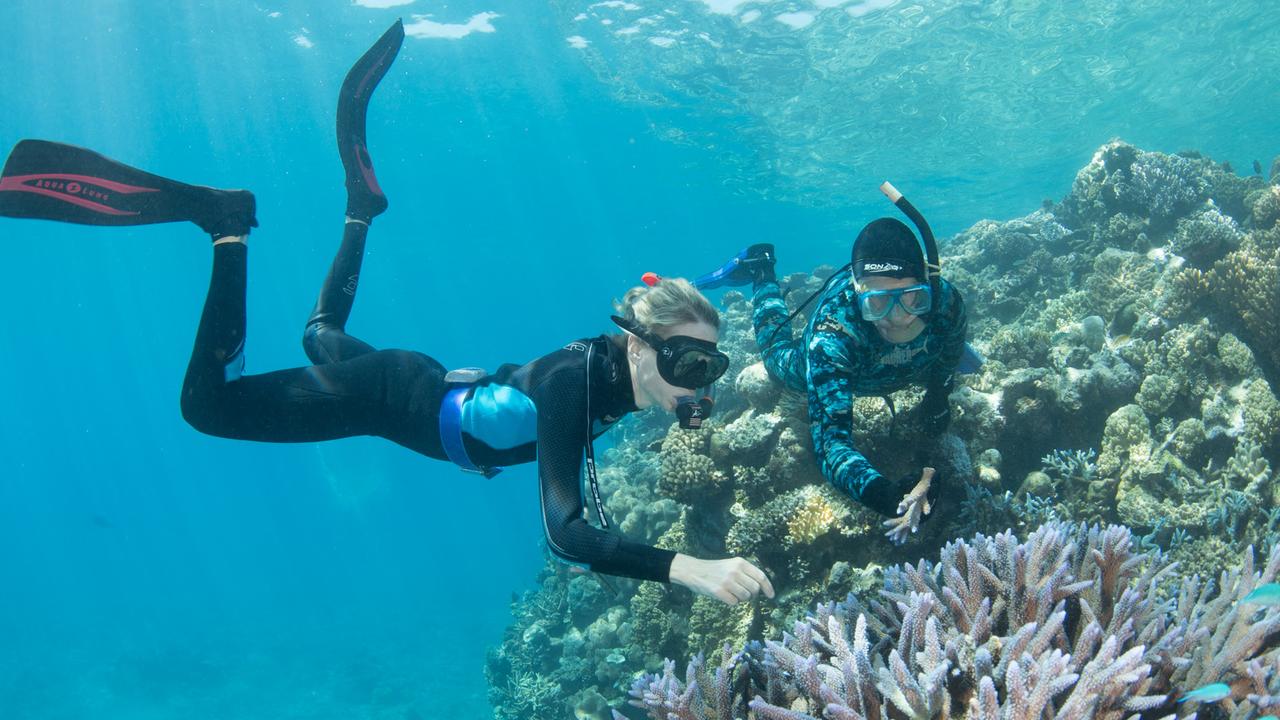 queensland-10m-great-barrier-reef-protection-rebate-scheme-to-be