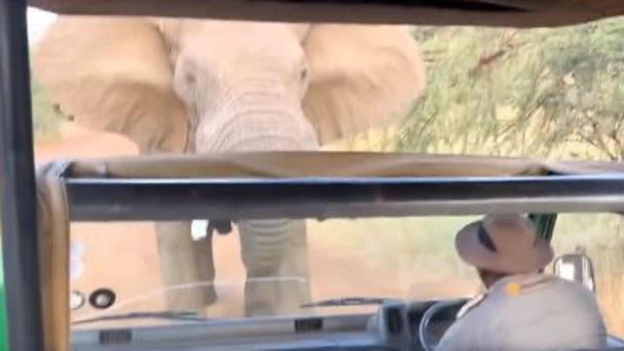 The elephant tried to tip the vehicle over.