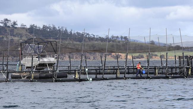 a Huon Aquaculture off-shore sea pen in Storm Bay