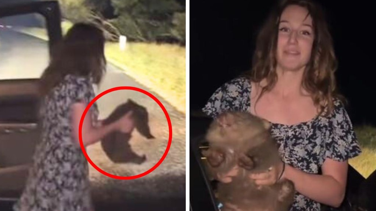 US influencer flees Australia over wombat act