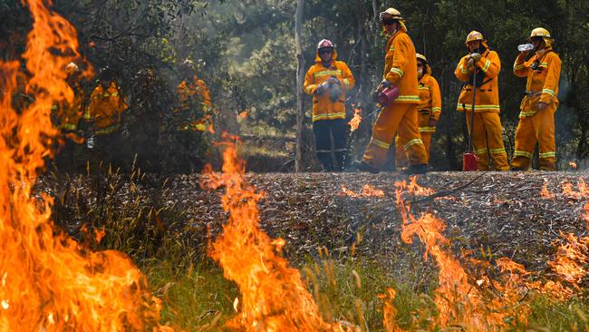 CFA strike teams at a controlled burn near Corryong. Picture: Jason Edwards