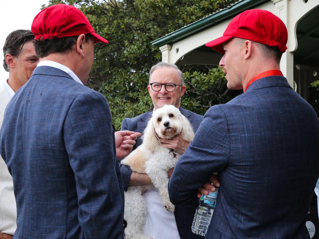 Confirmation that the Prime Minister’s dog has also been on the taxpayer-funded VIP follows his team’s refusal to respond to questions about whether the dog was travelling on the plane for three months.