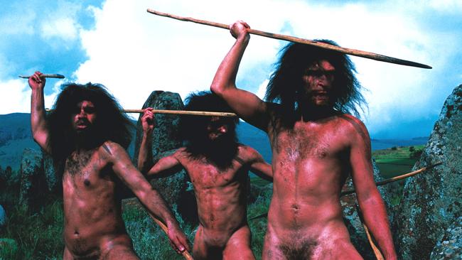Homo heidelbergensis is the common ancestor to Neanderthals, modern humans and a possible third branch of hominid recently found in China. Picture: Walking with Cavemen