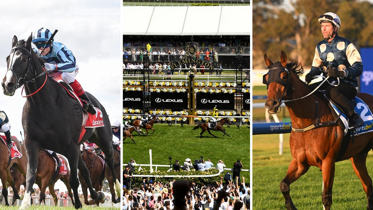 Ultimate Melbourne Cup form guide: Expert verdict on every runner and predicted top four