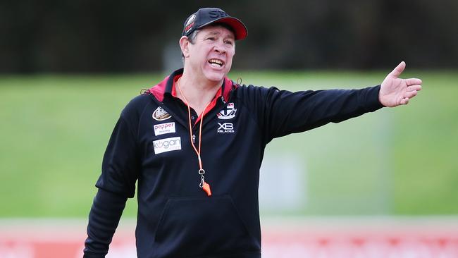Brett Ratten says he’s auditioning for the Saints job. Picture: Getty Images