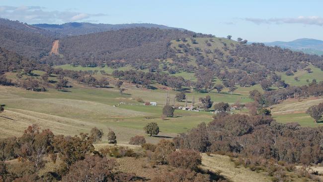 Quality grazing suits sheep and cattle at Tarcutta farm | The Weekly Times