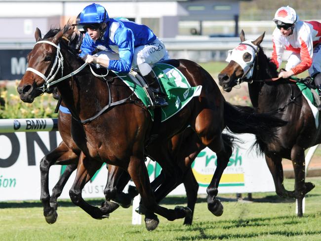 Jason Collett steers home Winx at her second start for a win at Rosehill before passing over her and Hugh Bowman took the reins for her third start. Picture: Simon Bullard