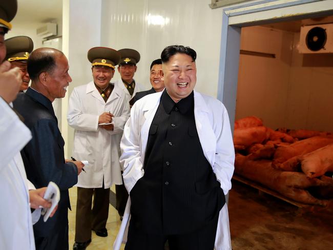 No sign of tensions as Kim Jong-un inspects the pig farm. Picture: AFP/KCNA via KNS