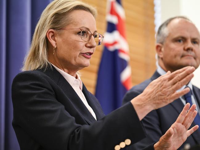 Newly elect Opposition Leader, Sussan Ley, was torn down immediately by fellow member of her Liberal Left faction Fiona Scott. Picture: Martin Ollman