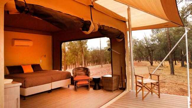 Ikara Safari Camp. Picture: SATC