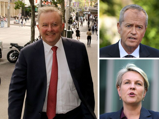 Anthony Albanese, Bill Shorten and Tanya Plibersek share the blame for Labor’s poll disaster.