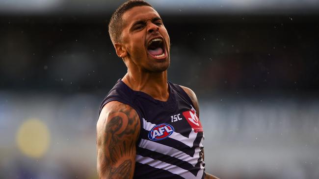 Saints fans are roaring like Bradley Hill after he made his way from Fremantle. Picture: AFL Media/Getty Images