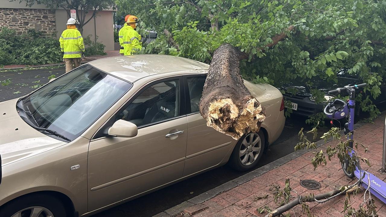 Trees have fallen on cars amid wild winds across Adelaide. Picture: 9News