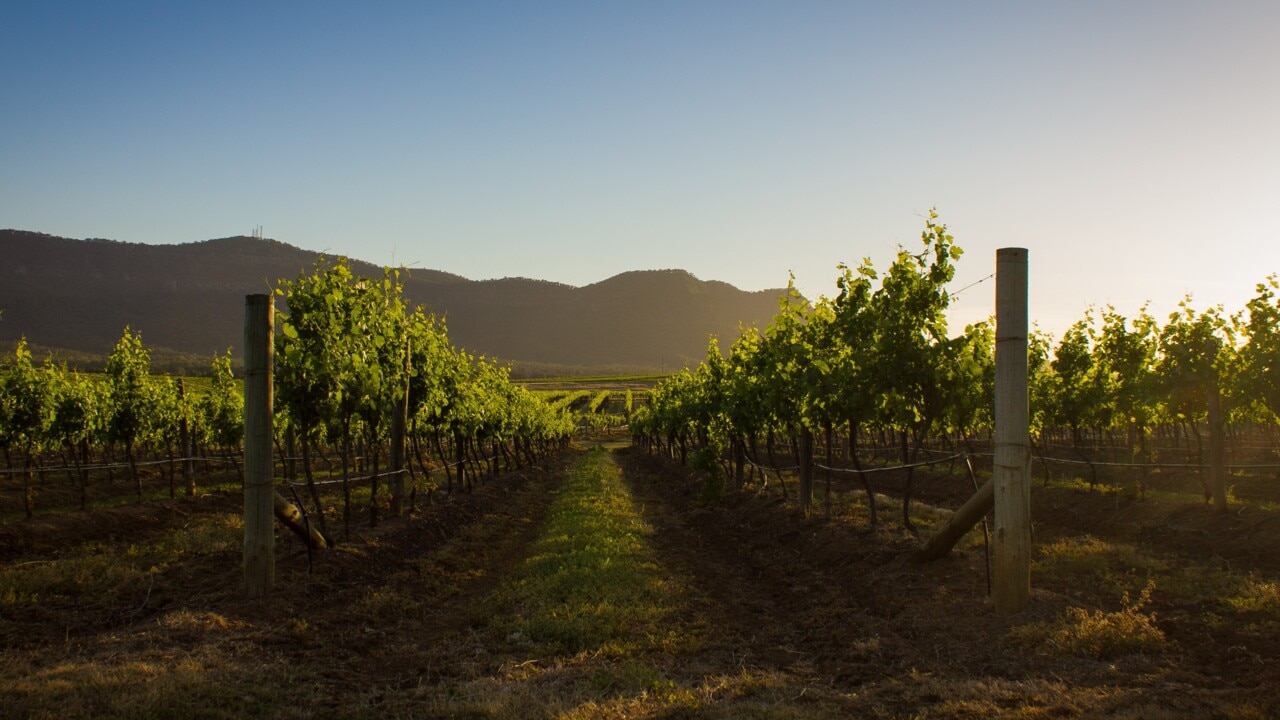 Dal Zotto family grew the first Australian prosecco