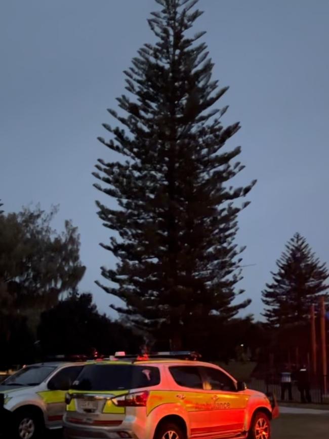 The Pratton Park tree at Broadbeach where a Gold Coast teenager spent two hours stuck at the top of a tree. Emergency services and onlookers feared he’d fall with horrific results.