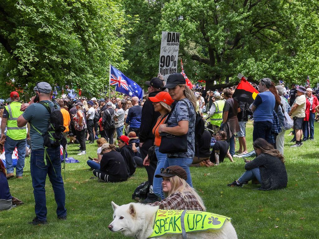 Protesters swarmed Treasury Gardens. Picture: NCA NewsWire / Ian Currie