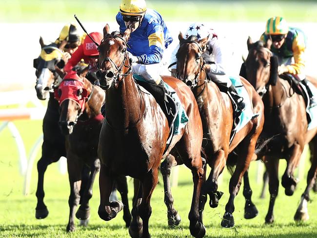 Santa Ana Lane goes bang in the TJ Smith Stakes. Picture: Getty Images