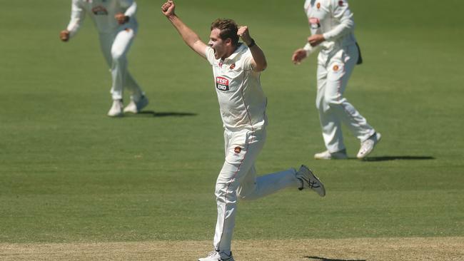 South Australia’s Liam Scott celebrates a wicket in the Sheffield Shield against Victoria. Picture: Daniel Pockett/Getty Images