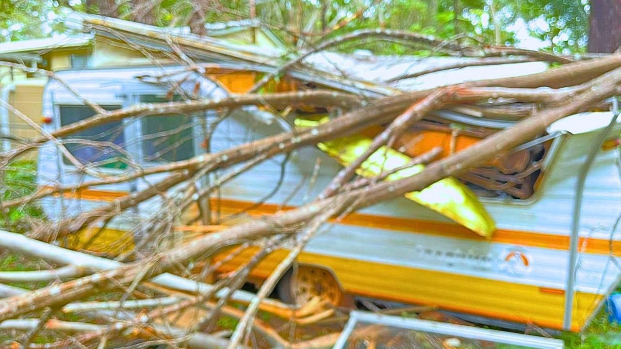 Miracle escape: Boy survives after caravan crushed by tree