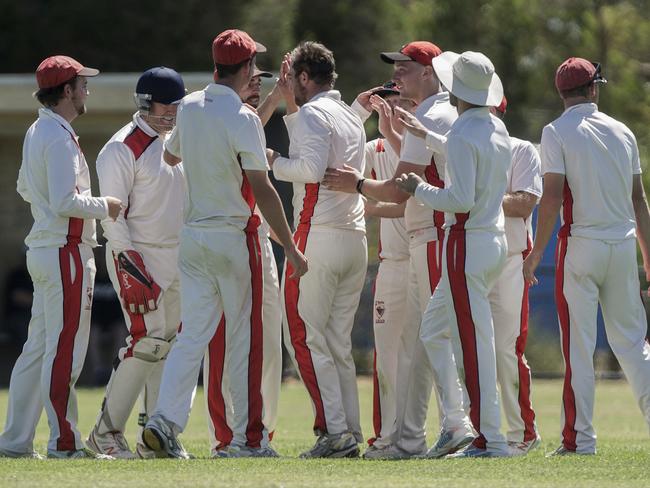 Mt Martha players celebrate a wicket. Picture: Valeriu Campan