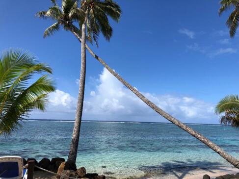 3 reasons why Samoa should be your next tropical holiday