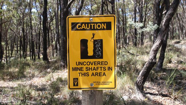 Gold mining town Ballarat has many hidden mine shafts. Picture: NCA NewsWire / David Crosling