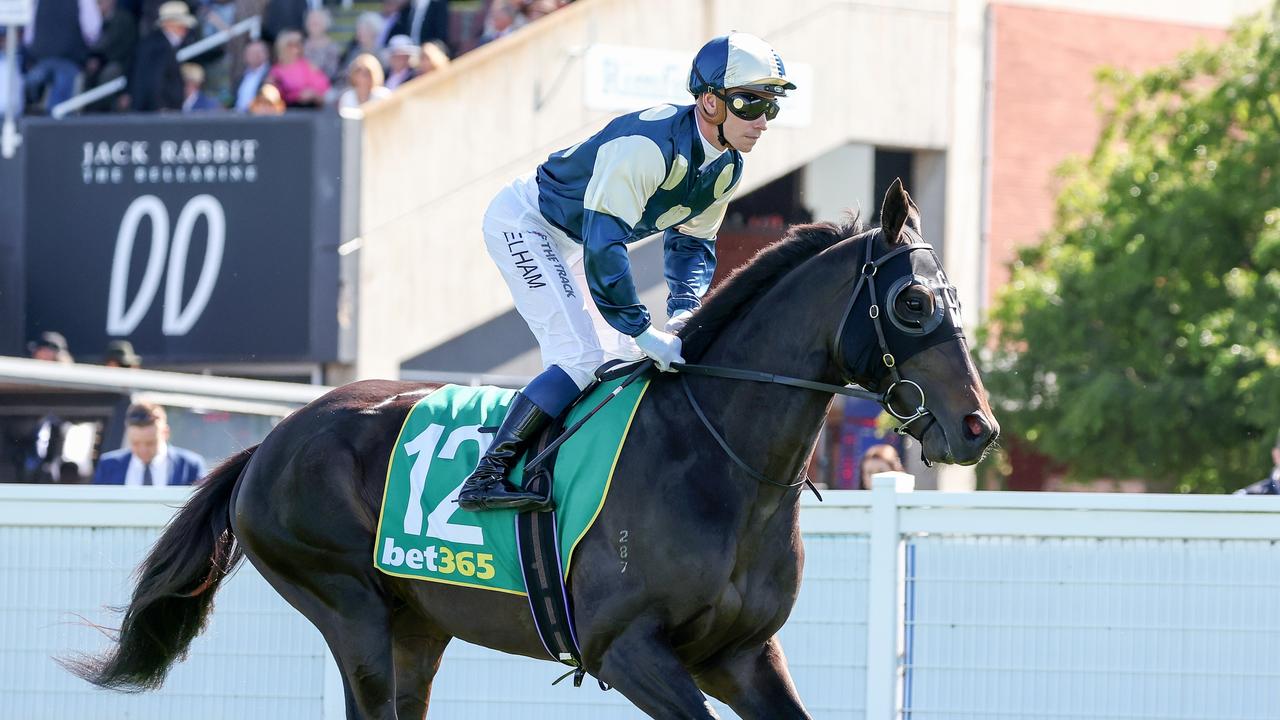 Interpretation will carry Col McKenna’s colours on jockey. Picture: Racing Photos via Getty Images