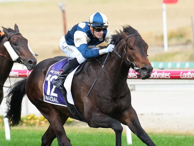 Nadal ridden by Ethan Brown wins the The Ladbrokes Meteorite at Cranbourne Racecourse on November 23, 2024 in Cranbourne, Australia. (Photo by Scott Barbour/Racing Photos via Getty Images)