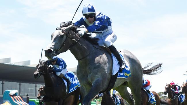 Impressive debut winner My Gladiola will attempt to remain unbeaten in Saturday's Blue Diamond Prelude for fillies at Caulfield. Picture: Racing Photos