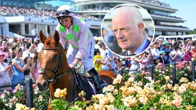 Vauban and trainer Willie Mullins (inset) are set to return for Melbourne Cup redemption. Pictures: Vince Caligiuri/Getty Images