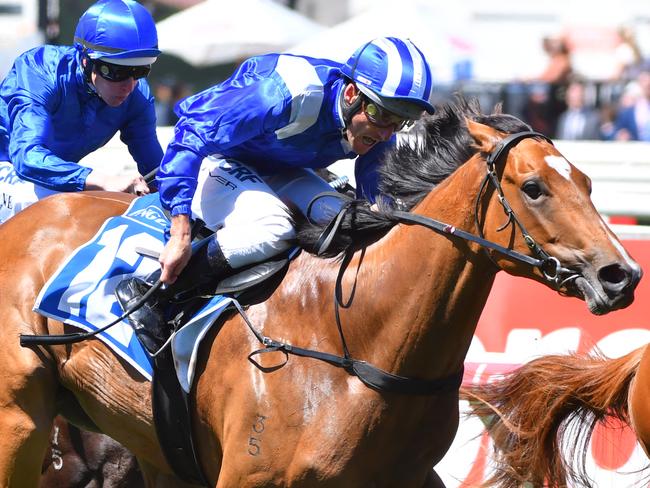 Damien Oliver rides Qafila to victory in the Debutant Stakes on Caulfield Guineas Day in 2017 continues to firm for Group 1 S Derby. Picture: Vince Caligiuri/Getty Images