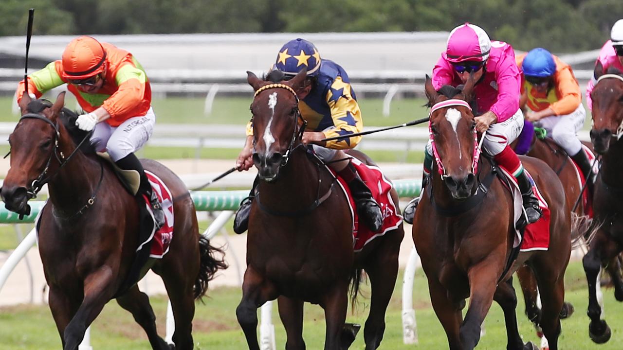 FNQ Horse Racing 2020: Cairns’ Cannon Park | The Cairns Post