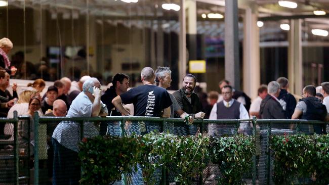 Punters turned out in force at the Gosford greyhounds meeting on Tuesday night.