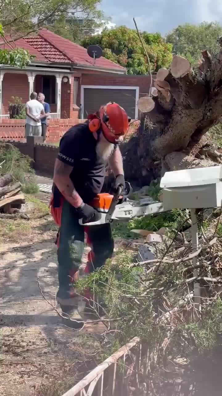 Sydney Storm clean up in Mascot, SES crews attend multiple call outs