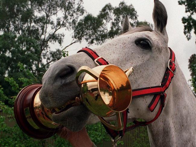 Much-loved 1992 Melbourne Cup winner Subzero is facing a fight for his life.