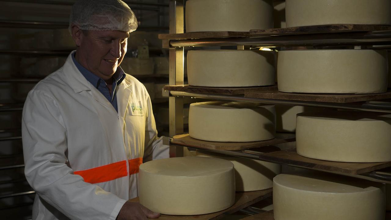 Beston cheesemaker Paul Connolly with wheels of parmesan. Picture: Walter Bulyga