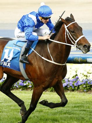 Winx: Cox Plate wins, video, overseas, next start, successive wins ...