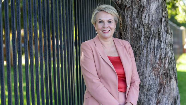 Environment and Water Minister Tanya Plibersek said it was “mind-boggling” how far behind the country is on the 450GL target. Picture: Colin Murty