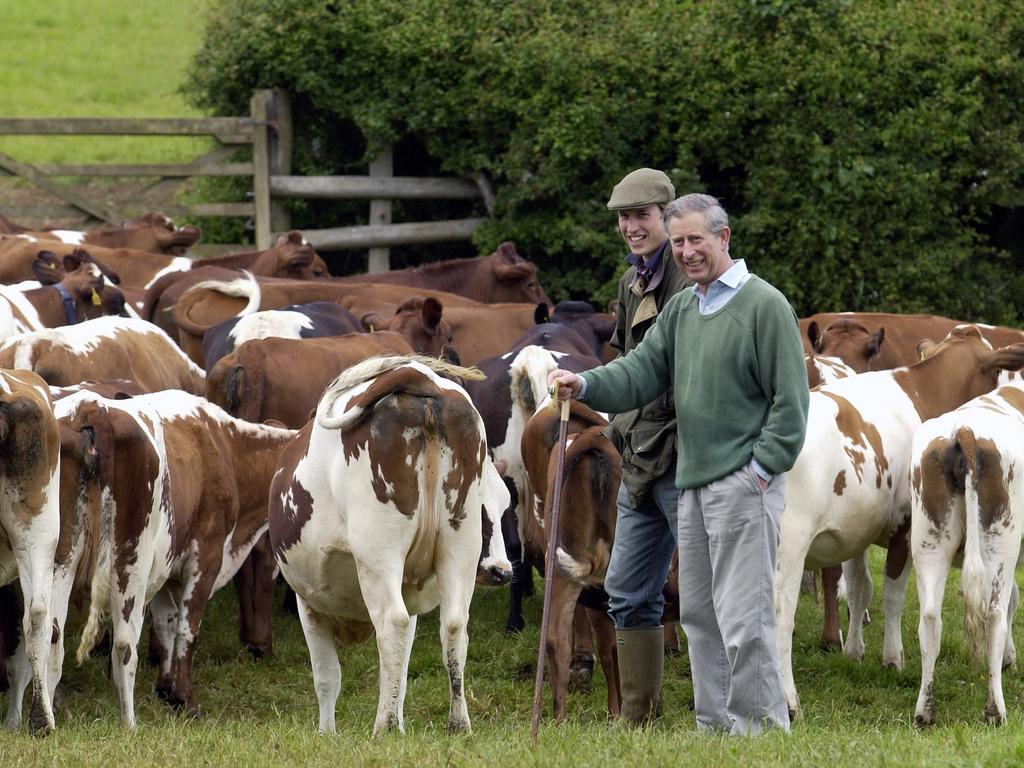 Prince William has inherited his father’s interest in organic farming. Picture: Tim Graham/Photo Library via Getty Images