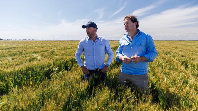 GO. FARM general manager of Lake Boga Tom Farmer (left) with managing director Liam Lenaghan in a barley crop at their Lake Boga property in northern Victoria.